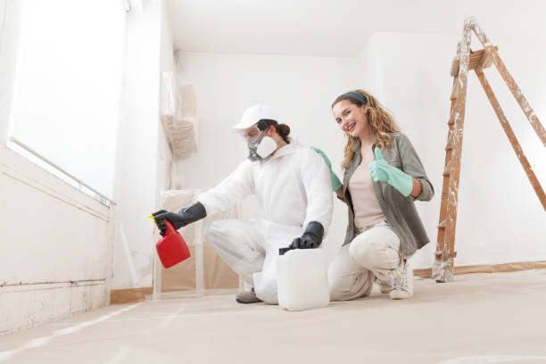 Reliable Mcdonald, PA Mold Removal Solutions